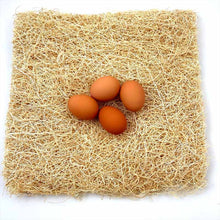 Load image into Gallery viewer, Excelsior chicken bedding nesting pads with 4 eggs on top

