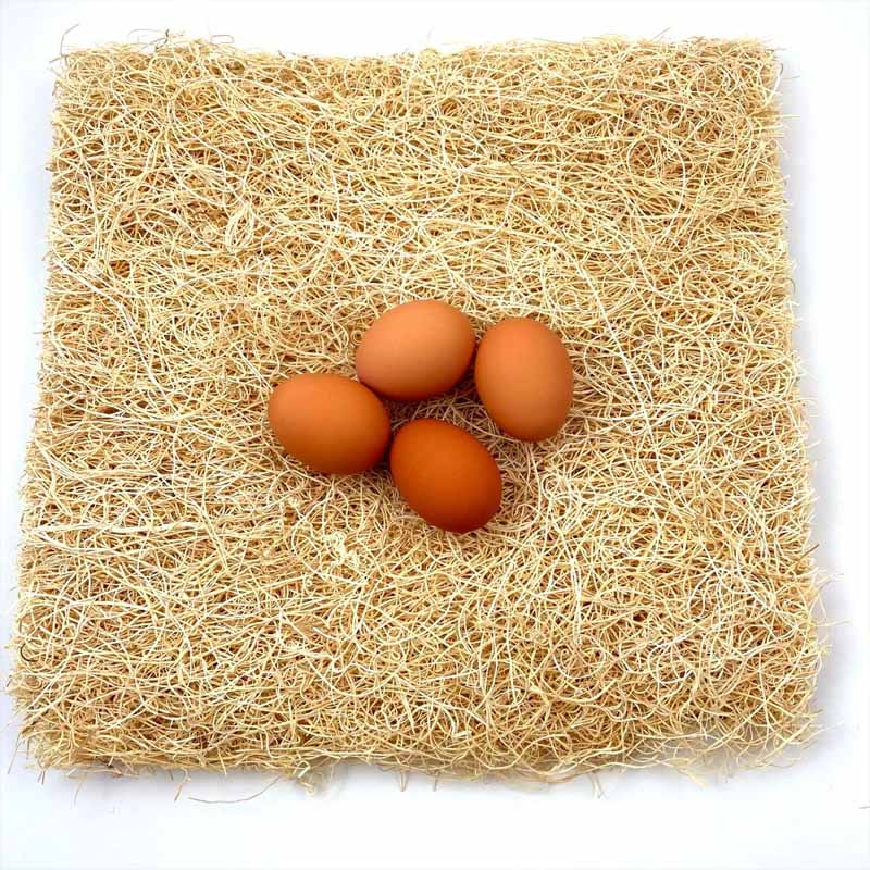 Excelsior chicken bedding nesting pads with 4 eggs on top