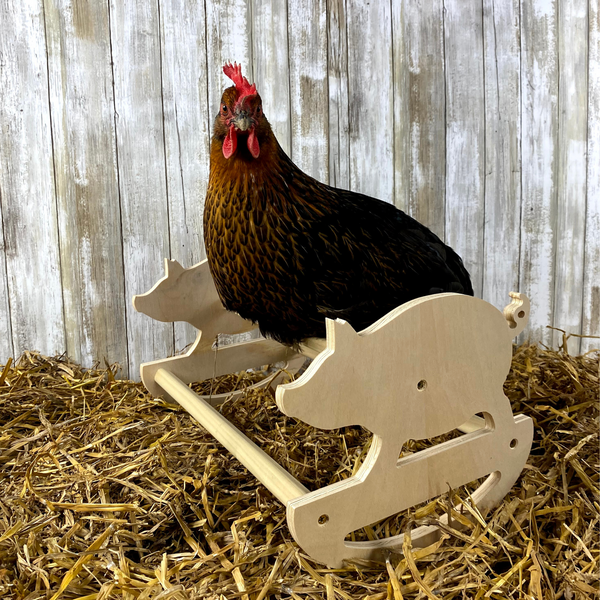 Wooden pig rocker perch with chicken sitting on it inside the coop.