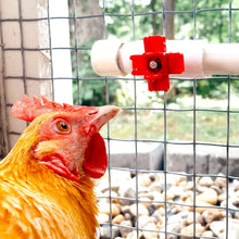 Load image into Gallery viewer, Poultry Drinking Nipple | Horizontal Side Mount | 12 Pack

